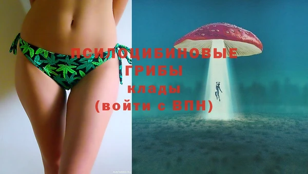 прущие грибы Курчалой