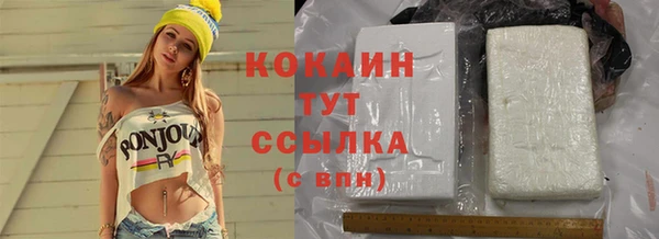 PSILOCYBIN Куртамыш